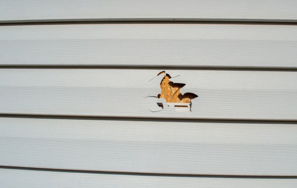 Siding Hole Repair in Marion