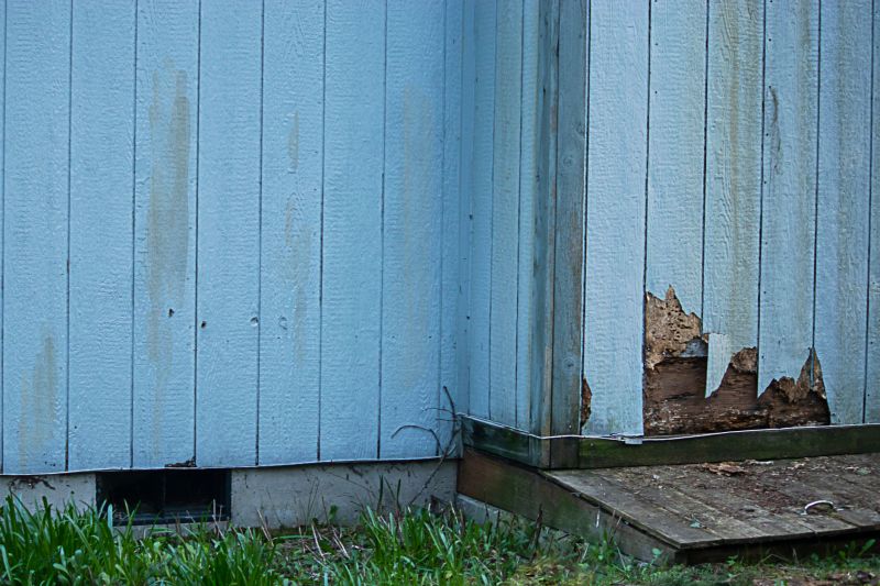 Board Siding Repair