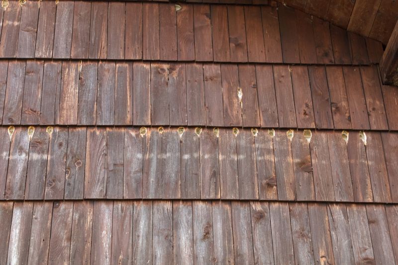 Siding Hole Patching