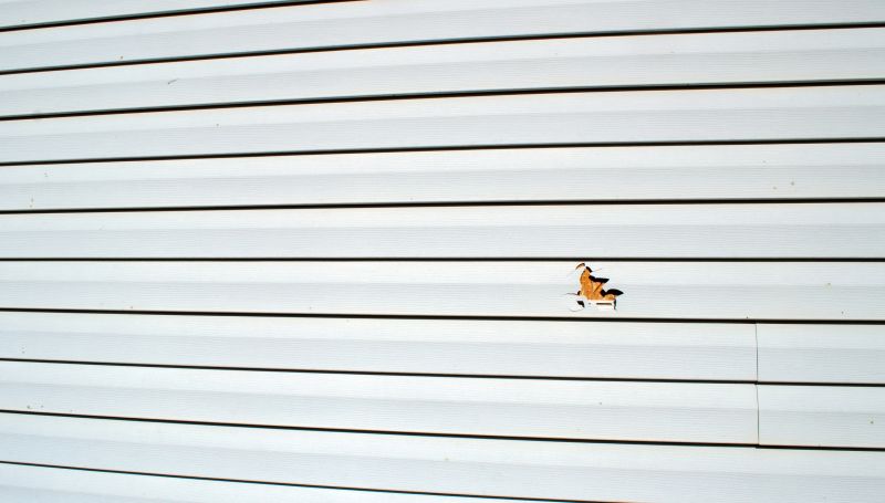 Siding Hole Repair