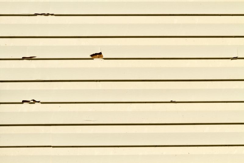 Siding Hole Repair