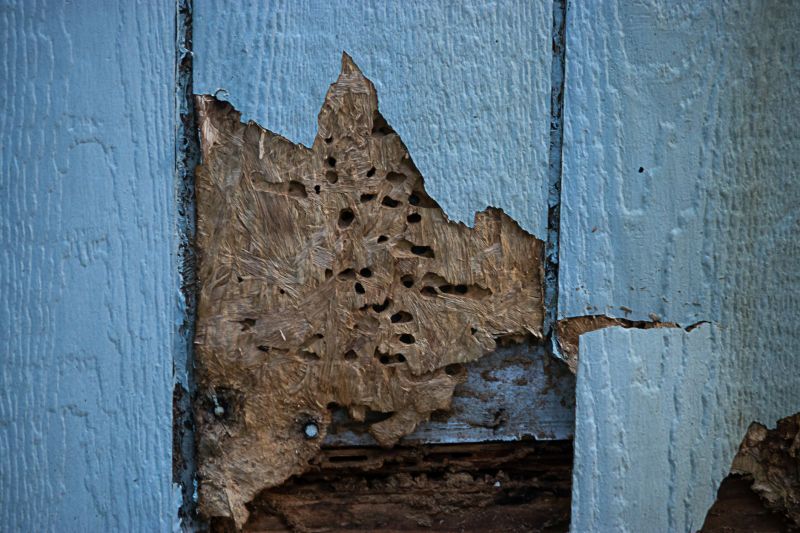 Siding Hole Repair