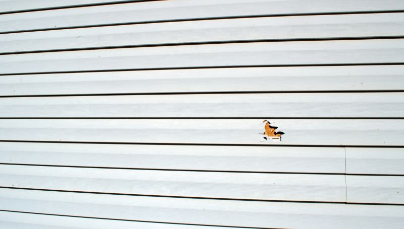 Siding Leak Repair