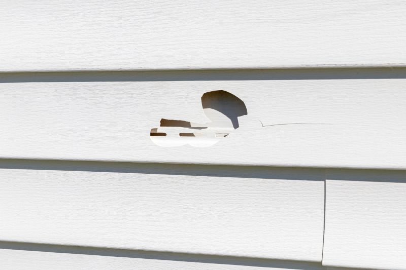 Siding Patching