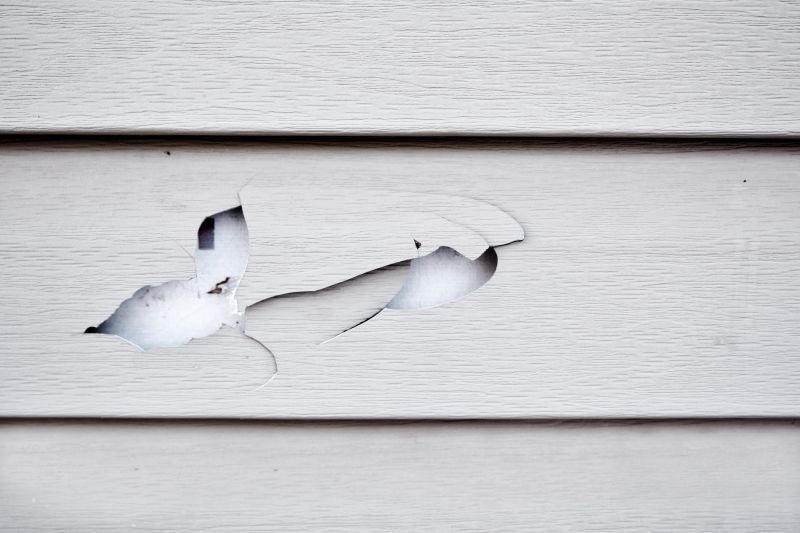 Siding Repair