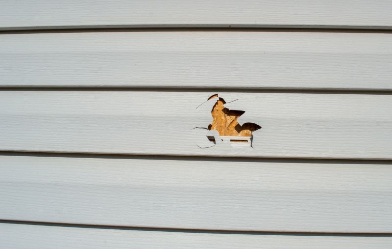 White Vinyl Siding Repair